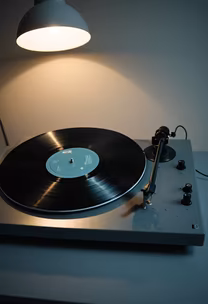 Vinyl Vibes Vinyl Vibes