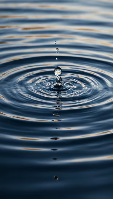 Ripple Effect Ripple Effect