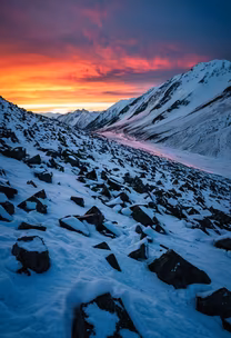 Winter's Majesty Winter's Majesty