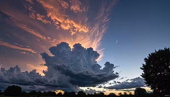 Celestial Majesty Celestial Majesty