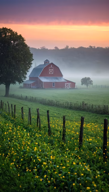 Rural Serenity