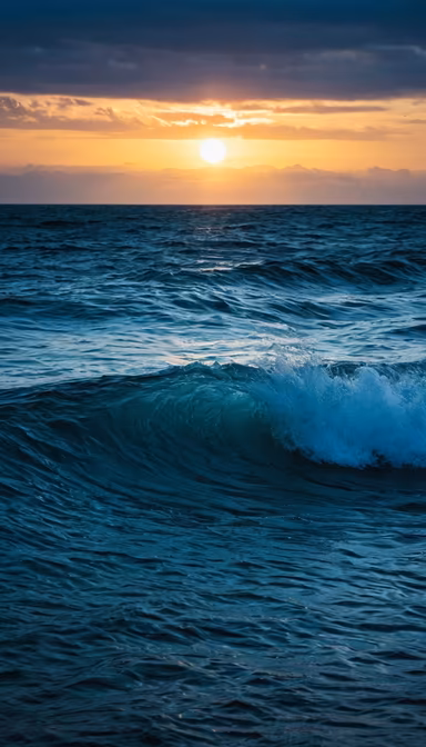 Ocean's Embrace
