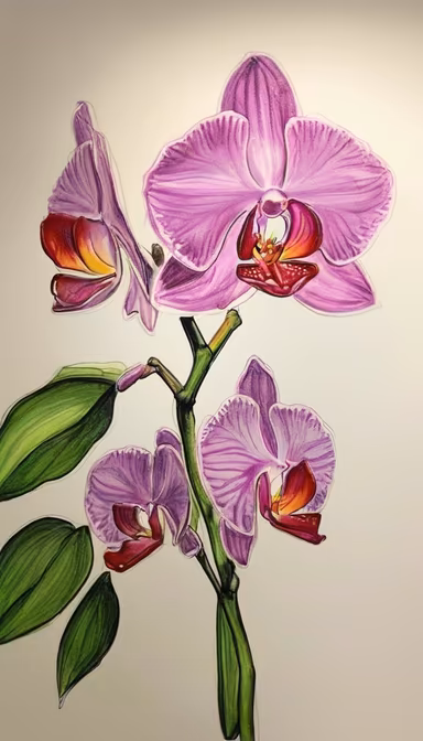 Orchid Beauty