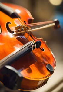 Cello's Serenade Cello's Serenade