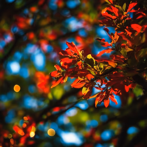 Autumn's Embrace