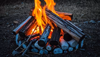 Cozy Campfire Cozy Campfire