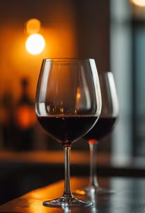 Wine Night Wine Night
