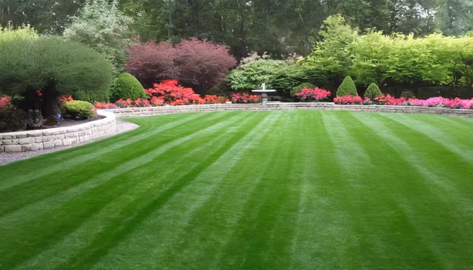 Perfect Lawn