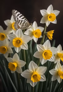 Spring Awakening