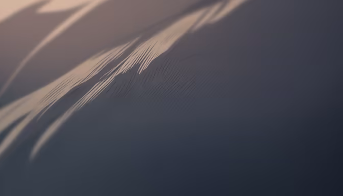 Desert Dreams