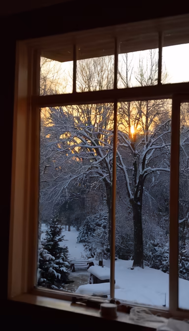 Winter's Embrace Winter's Embrace