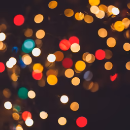 Holiday Lights