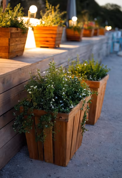 Evening Garden