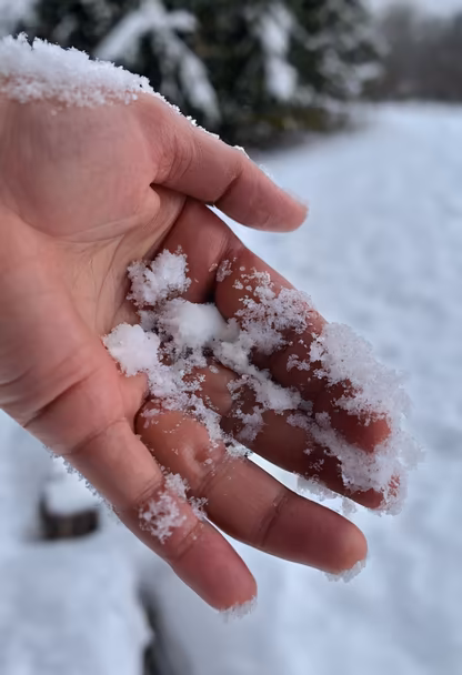 First Snowfall