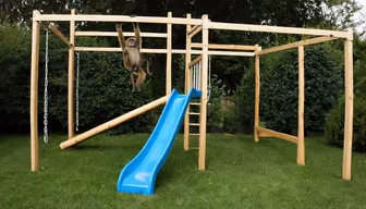 Backyard Fun