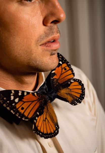 Butterfly Bowtie
