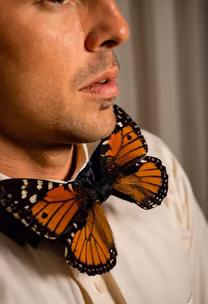 Butterfly Bowtie Butterfly Bowtie