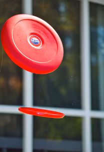Frisbee Fun