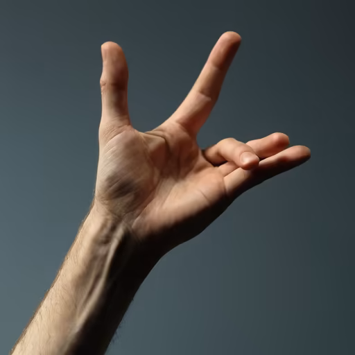 Hand Gestures