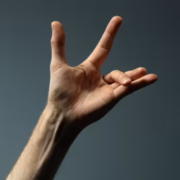 Hand Gestures