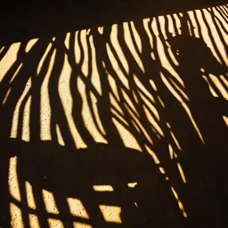Shadow Play Shadow Play