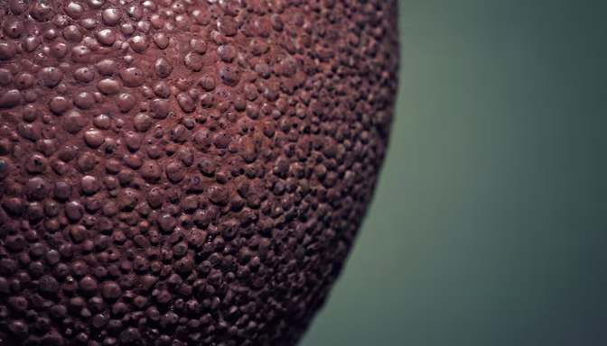Gridiron Close-Up