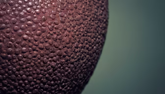 Gridiron Close-Up