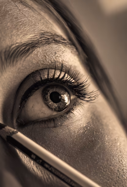 The Artist's Eye The Artist's Eye