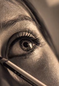 The Artist's Eye