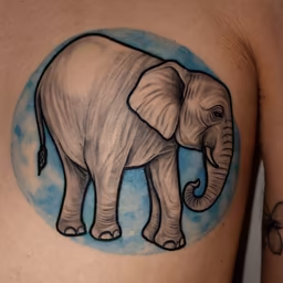 Elephant Art Elephant Art