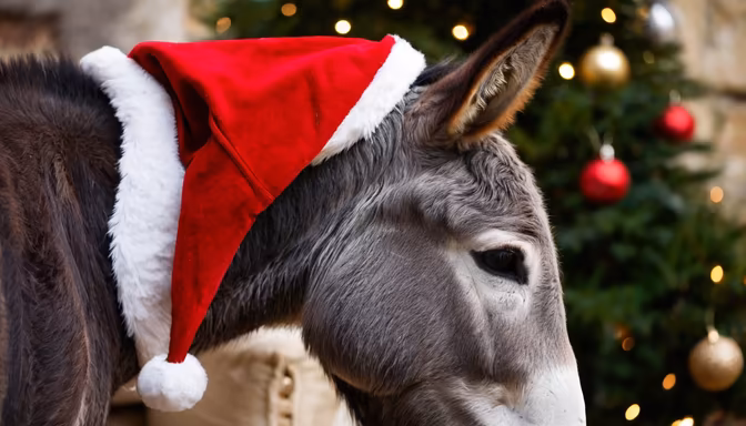 Festive Donkey