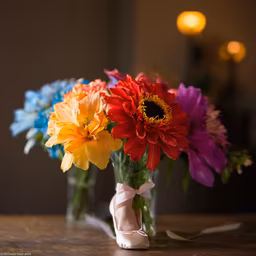 Floral Arrangement Floral Arrangement