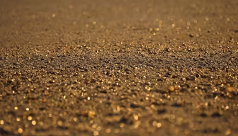 Golden Sands Golden Sands