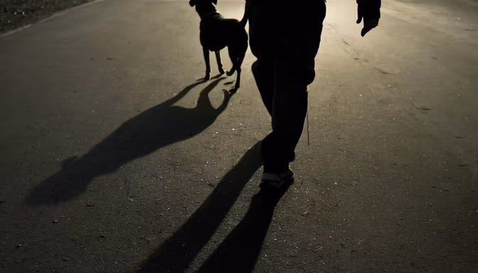Evening Stroll