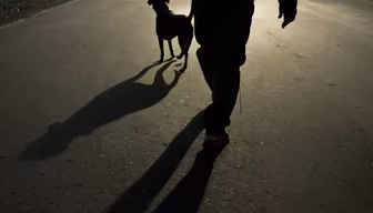 Evening Stroll