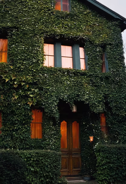Ivy League Living Ivy League Living