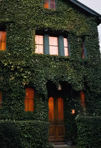 Ivy League Living Ivy League Living
