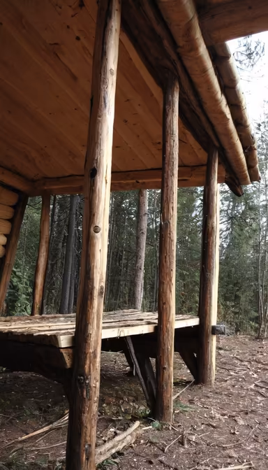 Forest Hideaway