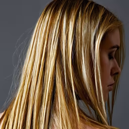 Golden Highlights
