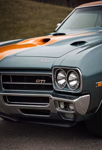 American Muscle American Muscle