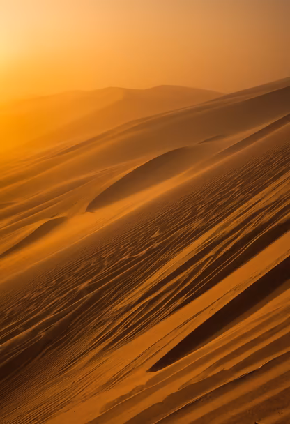 Desert Dreams Desert Dreams