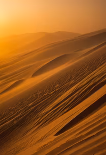Desert Dreams Desert Dreams