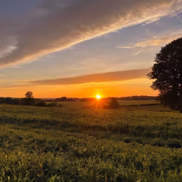 Golden Hour Serenity