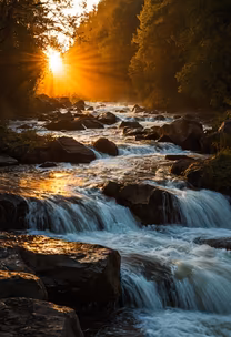 Golden River