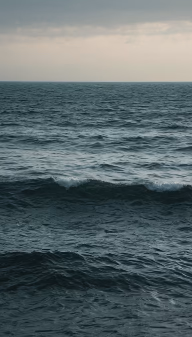 Ocean's Embrace Ocean's Embrace