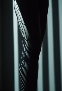 Shadow Play Shadow Play