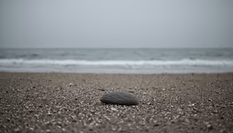 Seaside Serenity Seaside Serenity
