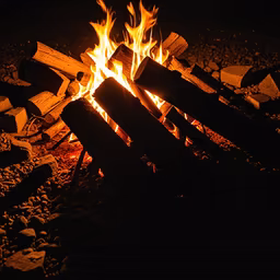 Campfire Nights Campfire Nights