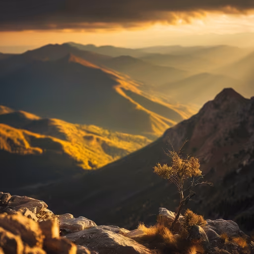 Mountain Majesty
