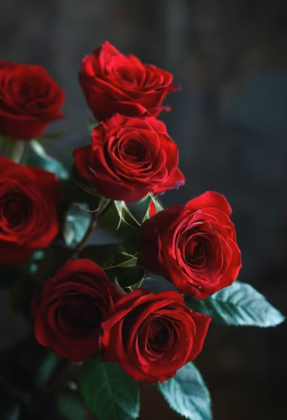 Crimson Roses